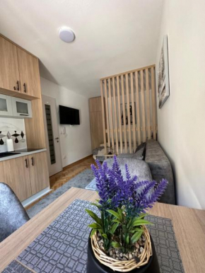 Talija apartman 4